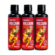 قم بتحميل الصورة في المعرض، 3 Bottles of Volcarn 2000