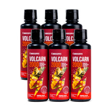 Cargar imagen en el visor de la galería, 6 Bottles of Volcarn 2000
